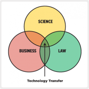 Image shows that UCF Technology Transfer's expertise combines the disciplines of science, business, and law
