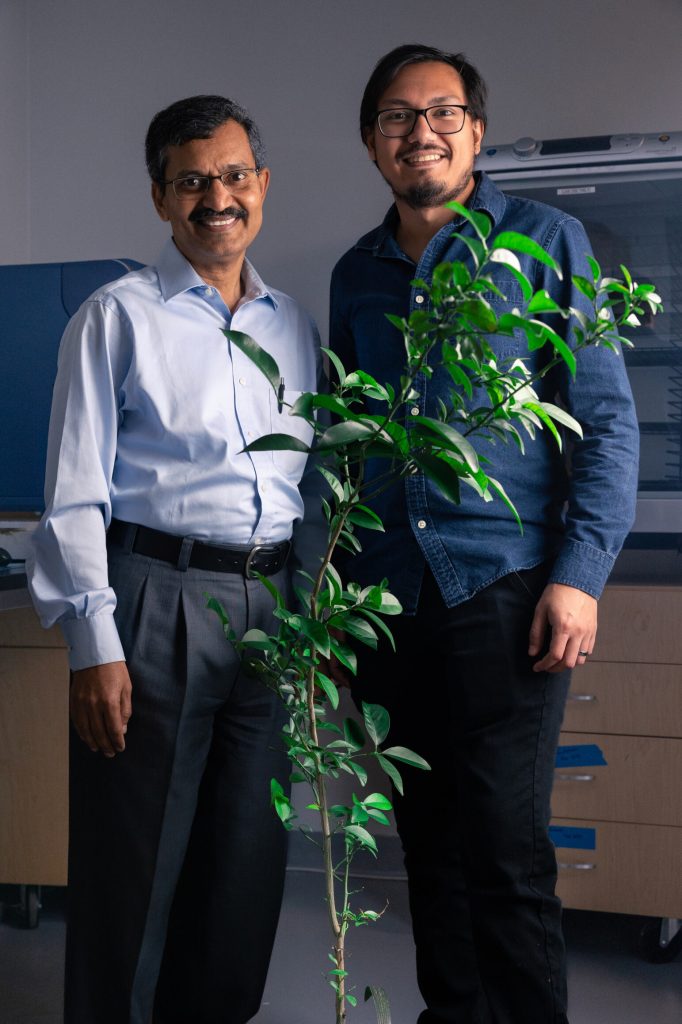 Figure 2. Dr. Santra with co-inventor and Ph.D. student Jorge Pereira with a young citrus tree. 