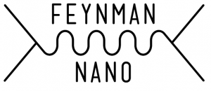 FeynmanNano logo